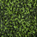 20"x20" IFR Artificial Boxwood Mat Indoor/Outdoor -2 Tone Green (pack of 4) - AR180040