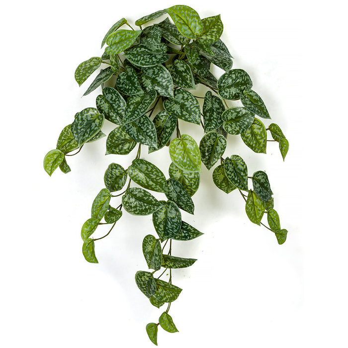 26" Hanging Scindapsus Silk Plant -Green/Gray (pack of 6) - A181390