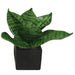 8" Sansevieria Snake Artificial Plant w/Pot -2 Tone Green (Pack of 6) - A-181450