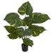 32" Variegated Pothos Leaf Silk Plant w/Pot -Green (Pack of 2) - A-181660