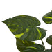32" Variegated Pothos Leaf Silk Plant w/Pot -Green (Pack of 2) - A-181660