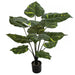 32" Variegated Pothos Leaf Silk Plant w/Pot -Green (Pack of 2) - A-181660