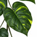 6' Soft-Touch Pothos Leaf Silk Garland -2 Tone Green (Pack of 4) - A181720