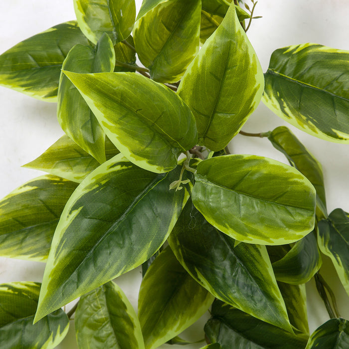 pothos leaves soft 38" Soft Touch Plastic Hanging Pothos Plant -Green — Silks Are Forever