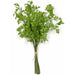 16" Real Touch Artificial Cilantro Herb Stem Bundle -Green (pack of 12) - A182060