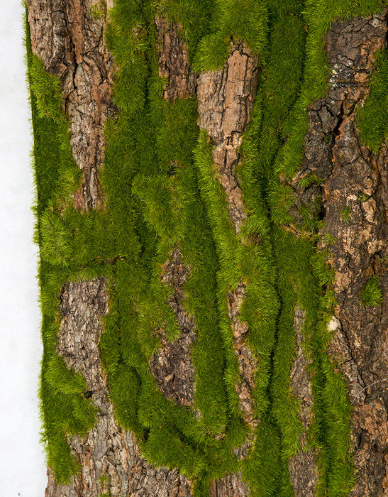 40"x19.5" Artificial Foam Bark & Moss Mat -Brown/Green (pack of 2) - A182130