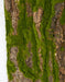 40"x19.5" Artificial Foam Bark & Moss Mat -Brown/Green (pack of 2) - A182130