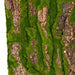 39"x19.5" Artificial Foam Bark & Moss Mat -Brown/Green (Pack of 2) - A182130