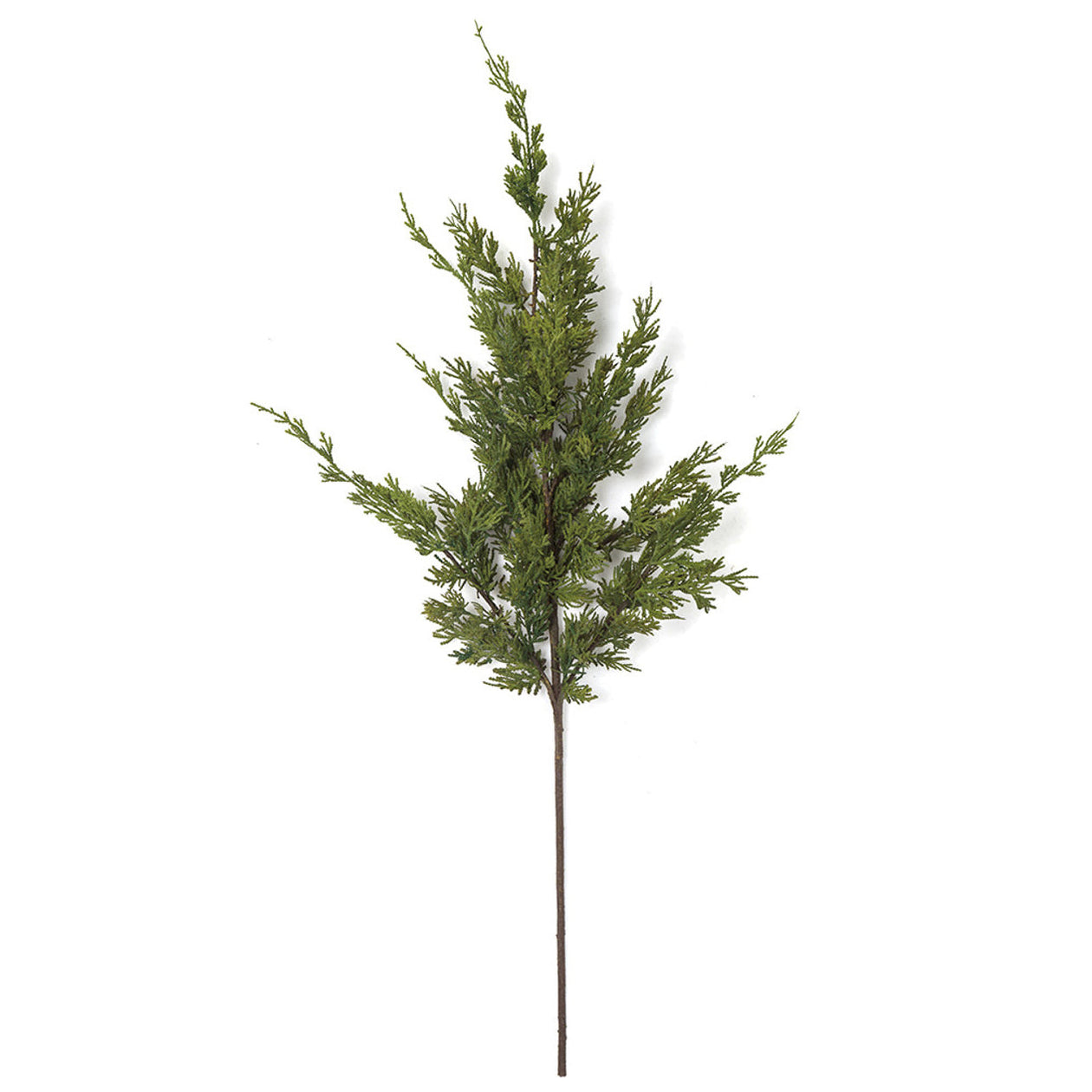 36" Natural Touch Artificial Cypress Stem Green — Silks Are Forever