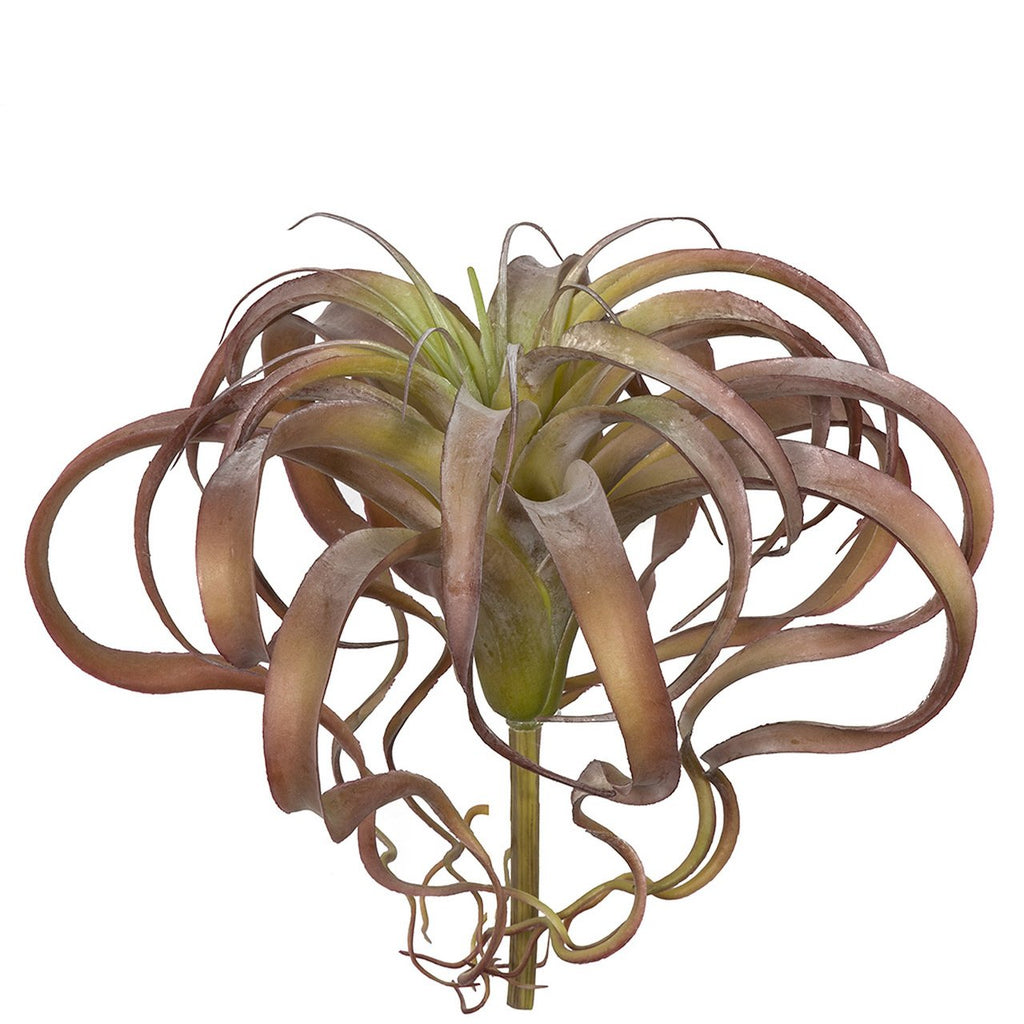 artificial air plant 11.5" Artificial Tillandsia Air Plant -Mauve/Green — Silks Are Forever