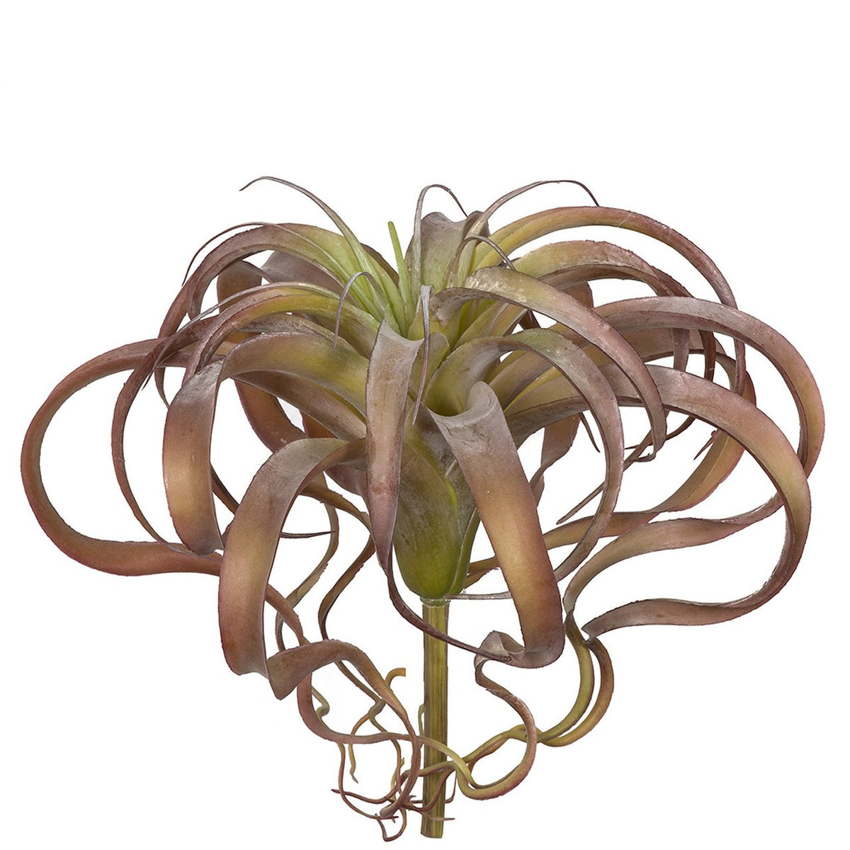 11.5" Artificial Tillandsia Air Plant -Mauve/Green (Pack of 4)