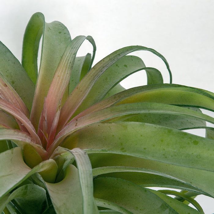 silk air plants 12.5" Artificial Tillandsia Air Plant -Green/Pink (Pack of 2)