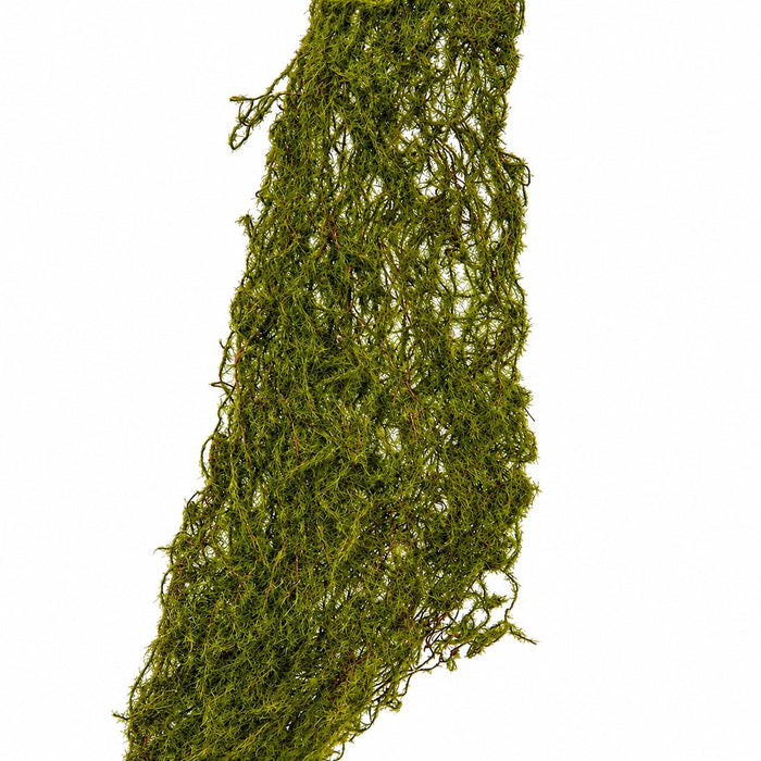 78" Artificial Moss Roll -Green/Brown (Pack of 6) - A182810