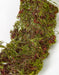 78" Artificial Moss Roll -Green/Brown (pack of 6) - A182810