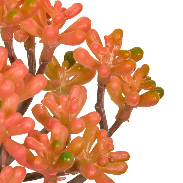 8"HX5"W Artificial Sedum Succulent Stem -Coral/Salmon (Pack of 12) - A-183232