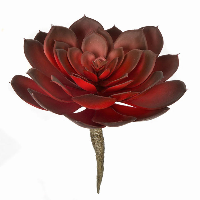 8"HX8.5"W Artificial Echeveria Stem -Red/Burgundy (Pack of 4) - A-183290