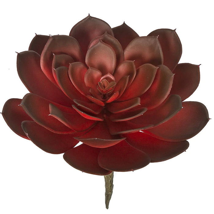 8"HX8.5"W Artificial Echeveria Stem -Red/Burgundy (Pack of 4) - A-183290