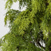7' Natural Touch Artificial Hinoki Cypress Tree w/Pot -Green - A184220