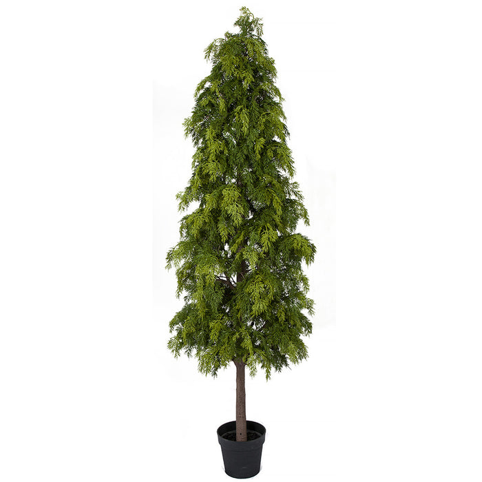6' Natural Touch Artificial Hinoki Cypress Tree w/Pot -Green - A184230