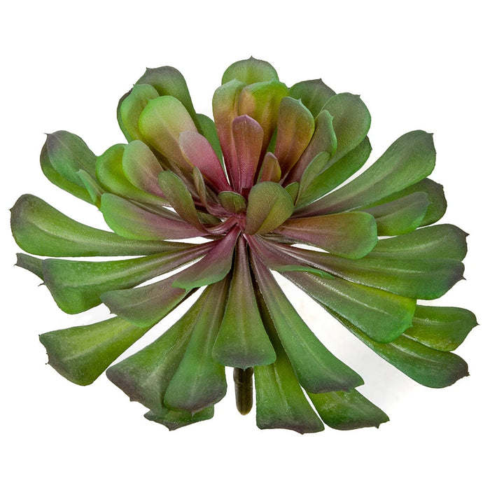 5.5"HX7.5"W Artificial Echeveria Stem -Green/Lavender (Pack of 12) - A-184260