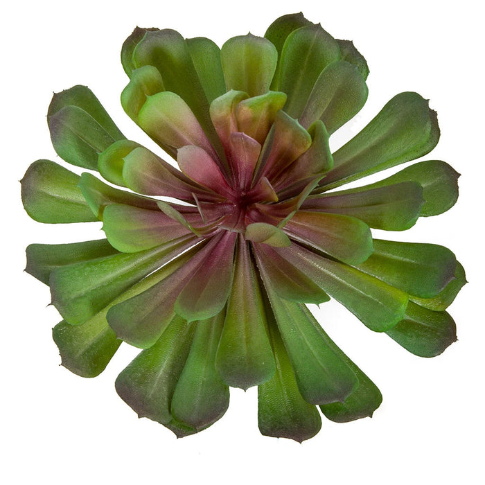 5.5"HX7.5"W Artificial Echeveria Stem -Green/Lavender (Pack of 12) - A-184260