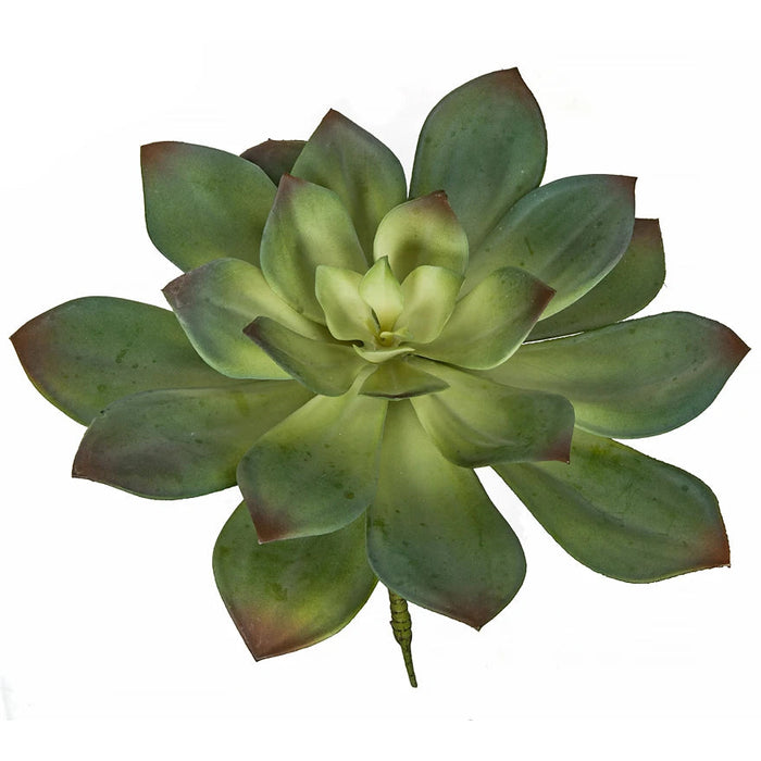 11.5"HX13"W Artificial Echeveria Stem -2 Tone Green (Pack of 4) - A-184322