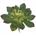 11.5"HX13"W Artificial Echeveria Stem -2 Tone Green (Pack of 4) - A-184322