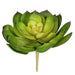 7"HX8"W Artificial Echeveria Stem -Green/Yellow (Pack of 6) - A-184360