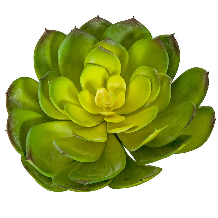 7"HX8"W Artificial Echeveria Stem -Green/Yellow (Pack of 6) - A-184360