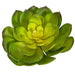 7"HX8"W Artificial Echeveria Stem -Green/Yellow (Pack of 6) - A-184360
