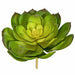 7"HX8"W Artificial Echeveria Stem -Green/Yellow (Pack of 6) - A-184360