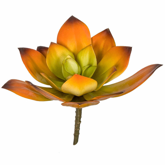7"HX8"W Artificial Echeveria Stem -Orange/Green (Pack of 6) - A-184370