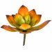 7"HX8"W Artificial Echeveria Stem -Orange/Green (Pack of 6) - A-184370