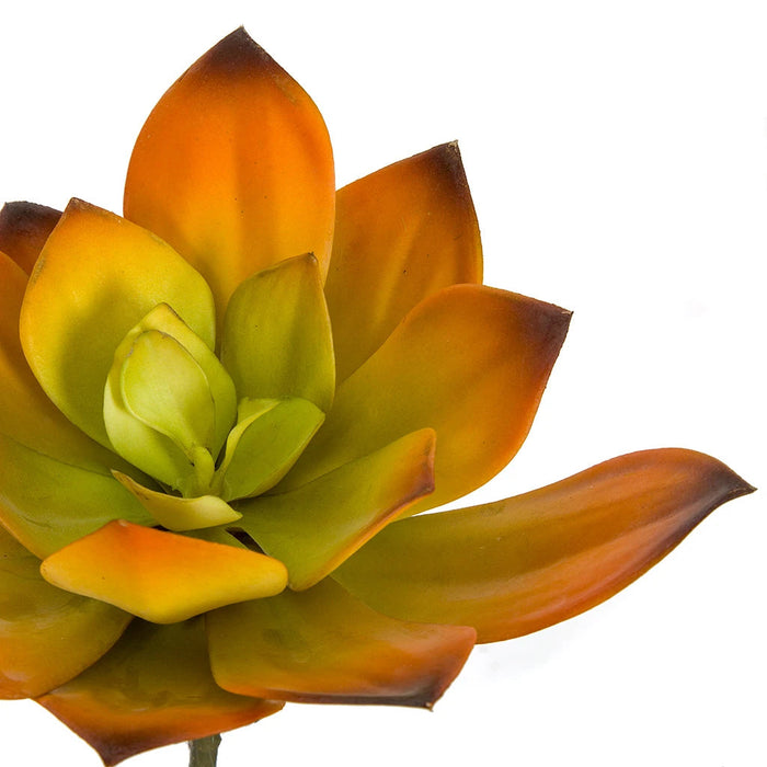 7"HX8"W Artificial Echeveria Stem -Orange/Green (Pack of 6) - A-184370
