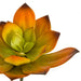 7"HX8"W Artificial Echeveria Stem -Orange/Green (Pack of 6) - A-184370