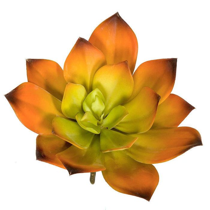 7"HX8"W Artificial Echeveria Stem -Orange/Green (Pack of 6) - A-184370