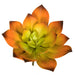 7"HX8"W Artificial Echeveria Stem -Orange/Green (Pack of 6) - A-184370