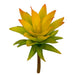 8"HX4.5"W Artificial Pineapple-Style Succulent Stem -Yellow/Green (Pack of 24) - A-184380