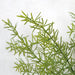 18" Artificial Sprengeri Fern Plant -Green (Pack of 6) - A-184390