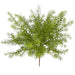 18" Artificial Sprengeri Fern Plant -Green (Pack of 6) - A-184390