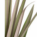 5'2" IFR PVC Wide Leaf Onion Grass Artificial Plant -Mauve/Green (Pack of 4) - A184520