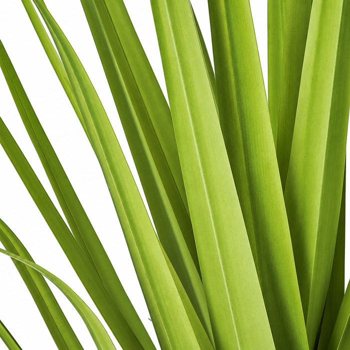 5'2" IFR PVC Wide Leaf Onion Grass Artificial Plant -Lime Green (Pack of 4) - A184530