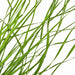 26" IFR PVC Wild Onion Grass Artificial Plant -Light Green (Pack of 12) - A184580