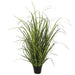 32" IFR PVC Onion Grass Artificial Plant w/Pot -2 Tone Green (pack of 2) - A184620