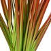 29" IFR PVC Onion Grass Artificial Plant -Red/Green (Pack of 12) - A184670