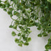 29" Outdoor UV-Proof Artificial Hanging Claytonia Plant -Green (Pack of 6) - A-185790