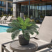 16.5"Hx23"W Outdoor UV-Proof Artificial Cycas Palm Plant -Green (Pack of 6) - A190980
