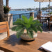 16.5"Hx23"W Outdoor UV-Proof Artificial Cycas Palm Plant -Green (Pack of 6) - A190980