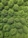 72"x36" Artificial Foam Moss Rock Mat -Green - A191000