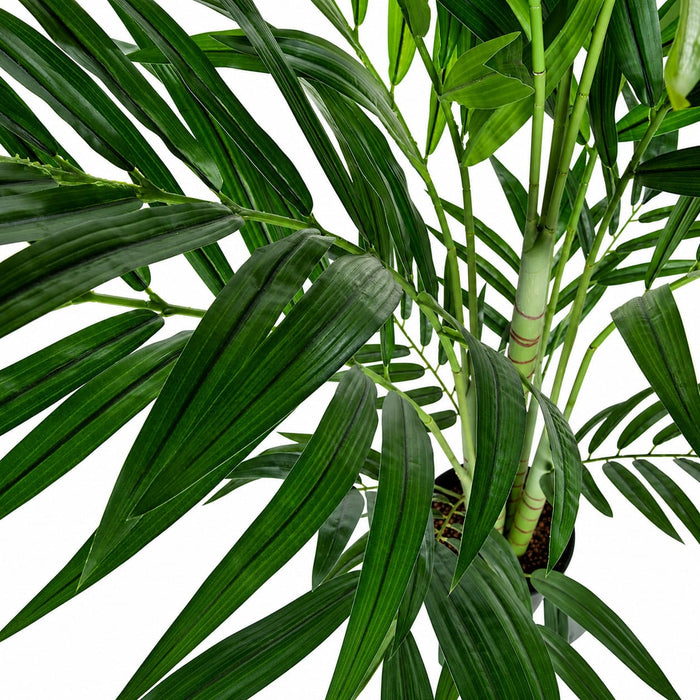 6'6" Soft-Touch Kentia Silk Palm Tree w/Pot -Green - A192550